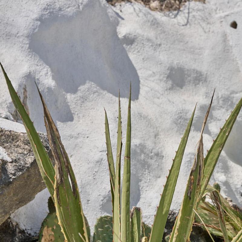 Topos Exclusive Santorini Imerovigli  Bagian luar foto
